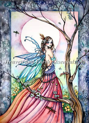 Dragonflies Whisper - Cross Stitch Pattern