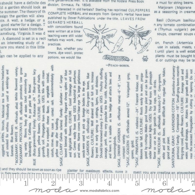 Linen Cupboard Text - Chantilly Charcoal - Quilt Fabric