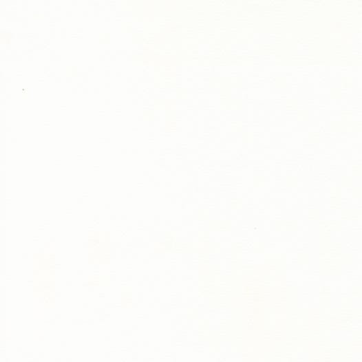Eyelet Basic - Ivory - Quilt Fabric