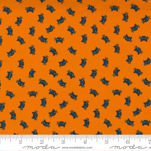 Holiday Essentials Halloween Pumpkin - Kitty Cat - Fabric