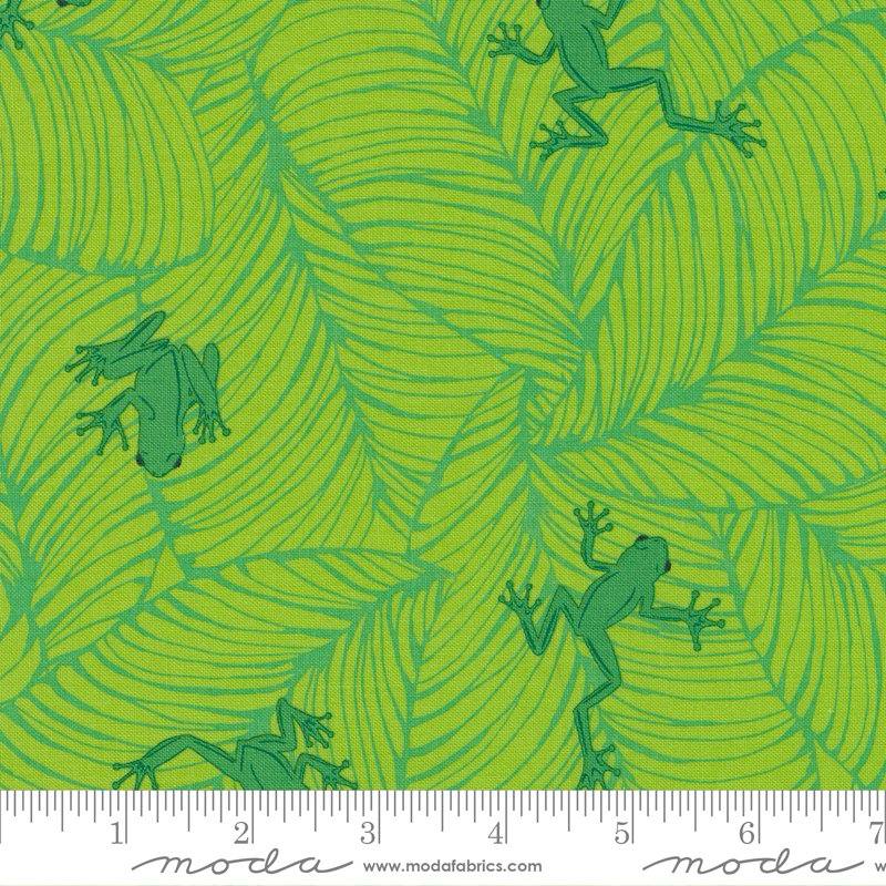 Jungle Paradise Seedling - Oh Froggy Frogs - Quilt Fabric