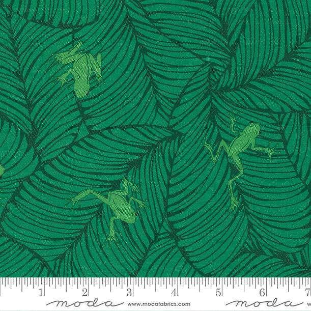 Jungle Paradise Palm - Oh Froggy Frogs - Quilt Fabric
