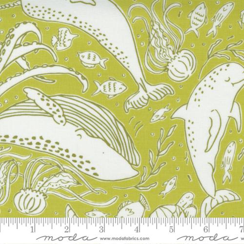 The Sea And Me Seaweed - Ocean Friends - Quilt Fabric