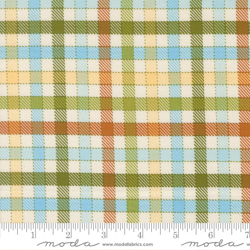 Animal Park Fun Gingham Iguana - Quilt Fabric