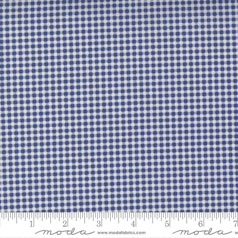 Picture Perfect Navy - Gingham - Quilt Fabric