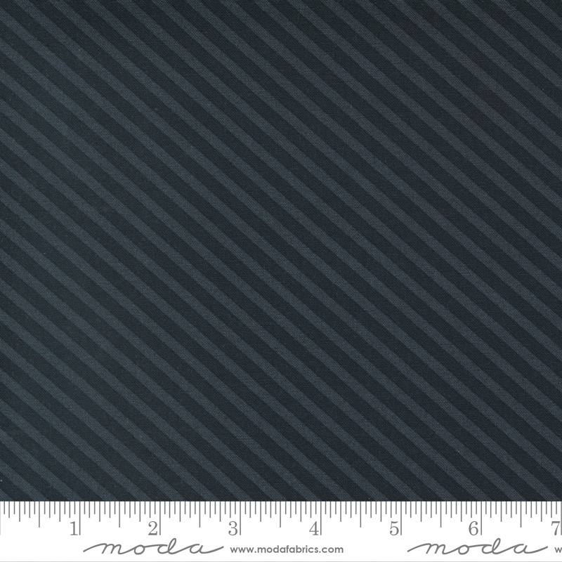 Too Cute To Spook Black Cat - Spooky Bias - Quilt Fabric