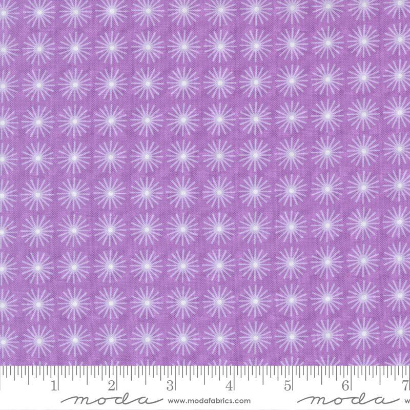 On The Bright Side Passion Fruit - Quilt Fabric