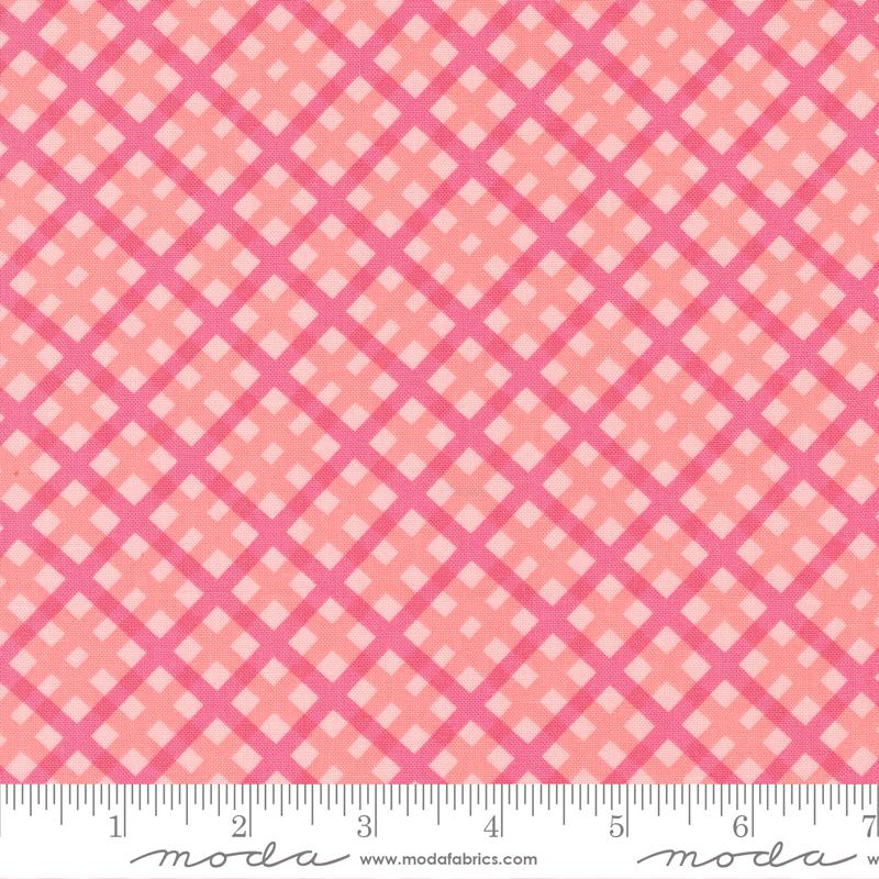 On The Bright Side Bubble Gum - Quilt Fabric