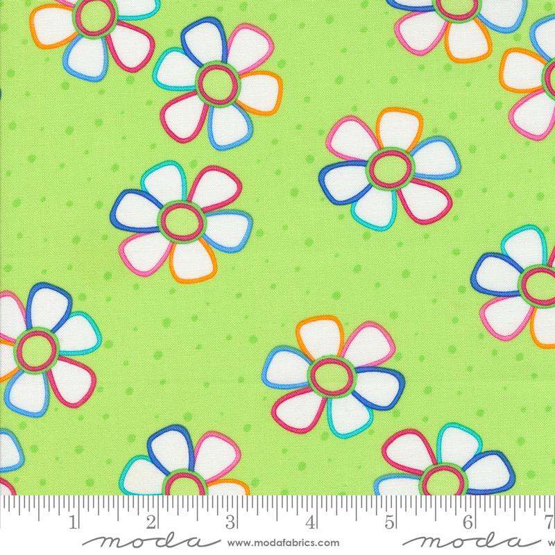 Fiesta Limeade - Quilt Fabric