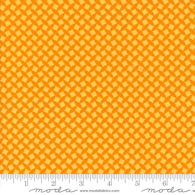Fiesta Orange Juice - Quilt Fabric