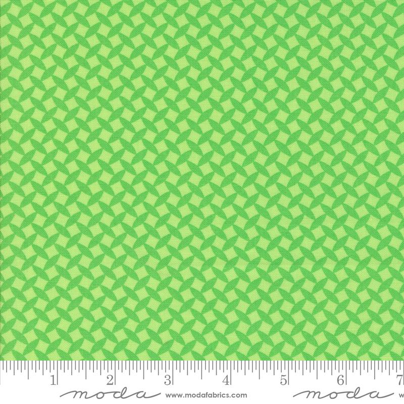 Fiesta Limeade - Quilt Fabric