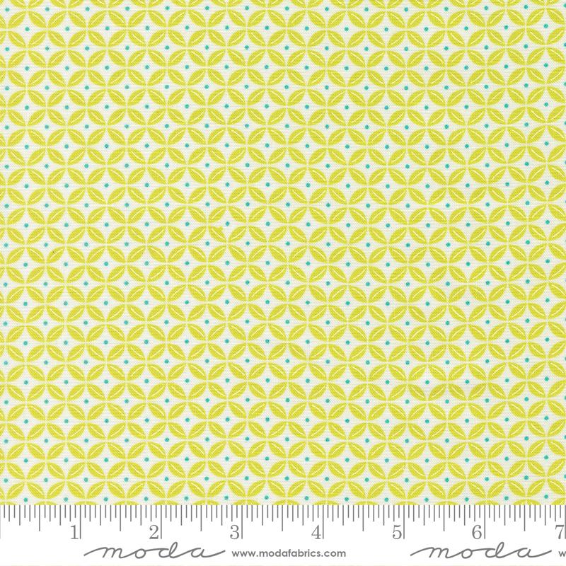 Pick Me Citrus Peels Sugar - Quilt Fabric