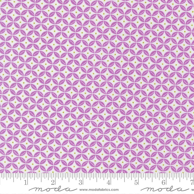 Pick Me Citrus Peels Lilac - Quilt Fabric