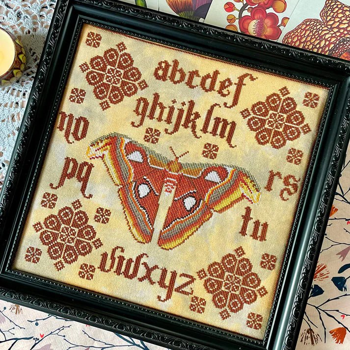 Moth Quaker - Cross Stitch Pattern