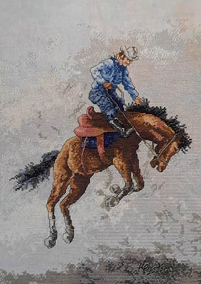 What A Ride! - Cross Stitch Pattern