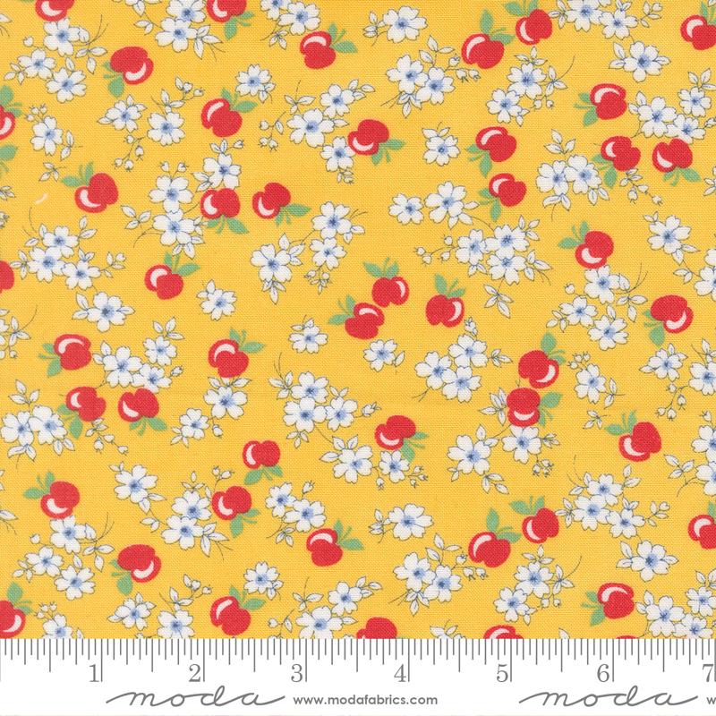 30s Playtime 2025 Apple Sunshine - Quilt Fabric