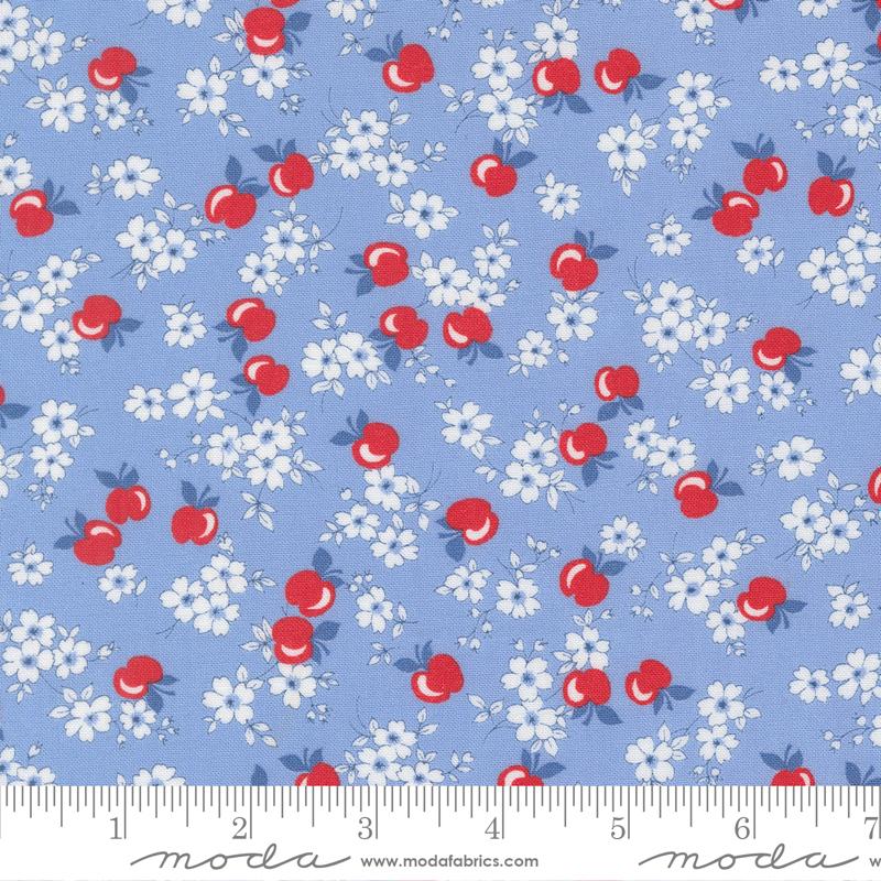 30s Playtime 2025 Apple Sky - Quilt Fabric