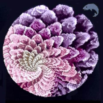 Water Fractal - Cross Stitch Pattern