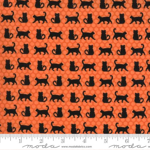 Midnight Magic 2 Pumpkin - Cat Parade - Quilt Fabric
