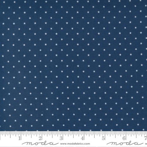 Twinkle Night - Quilt Fabric