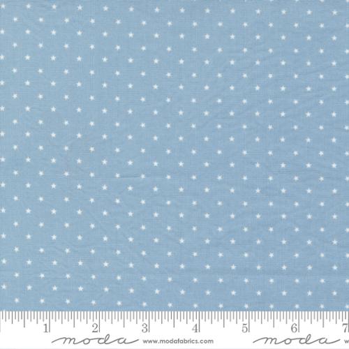 Zinnia Twinkle Lake - Quilt Fabric
