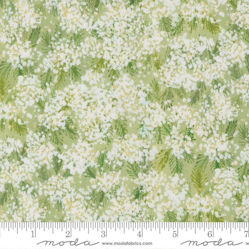 Sweet Cecily Queen Anne Bud - Quilt Fabric