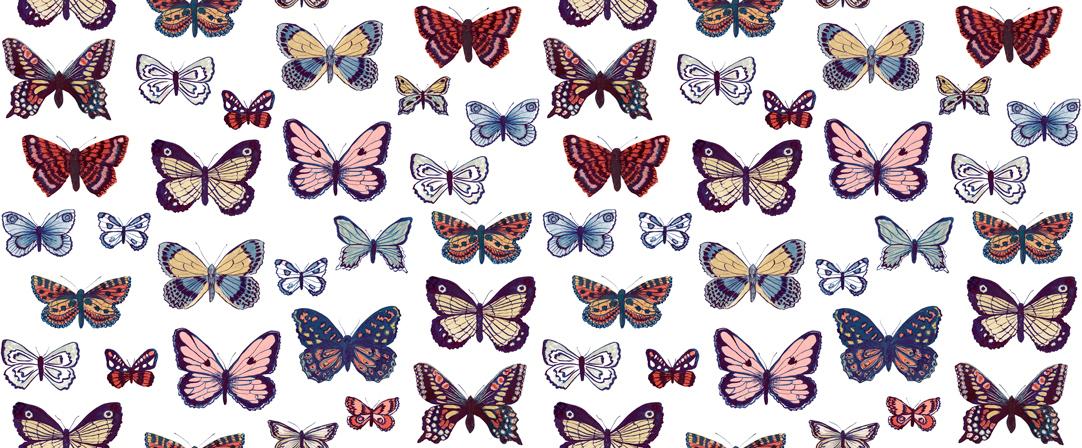 Flutterby Butterfly Cabbage White - Quilt Fabric, zoomed in. Select this picture to zoom back out.