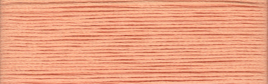 Apricot Wash 2341 - Cosmo Cotton Embroidery Floss 8m