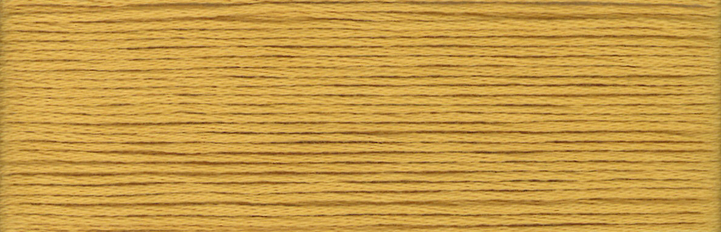 Honey Mustard 574 - Cosmo Cotton Embroidery Floss 8m