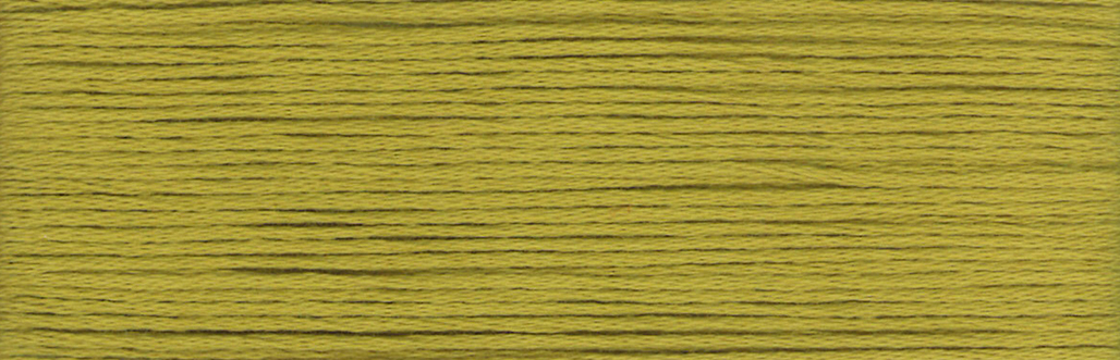 Amber Green 822 - Cosmo Cotton Embroidery Floss 8m