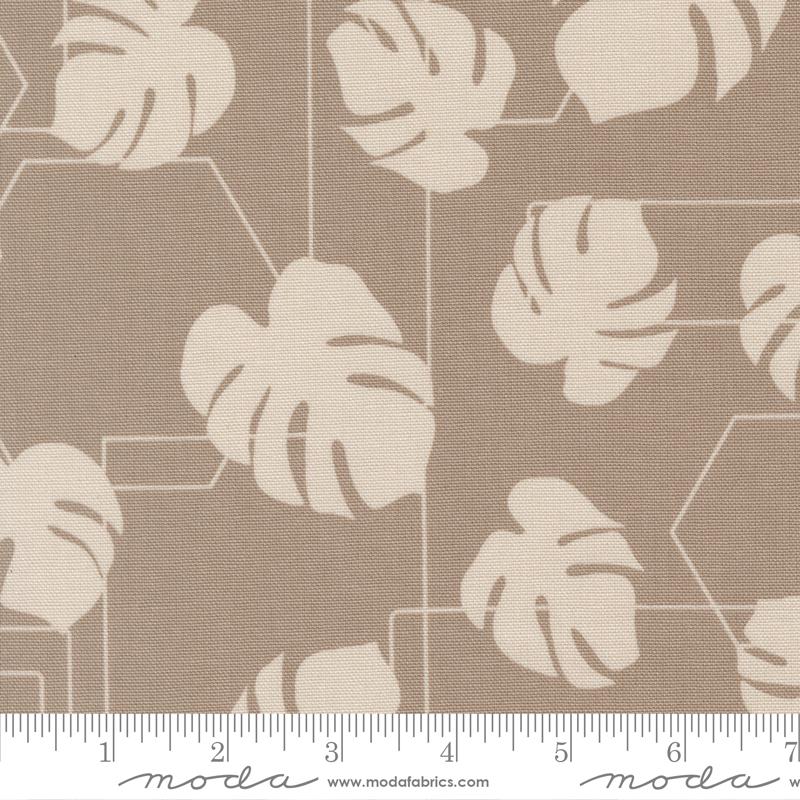 Potted Canvas Ash - Quilt Fabric