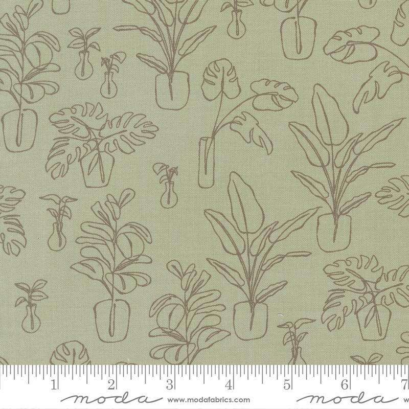 Potted Indoor Jungle Sage - Quilt Fabric