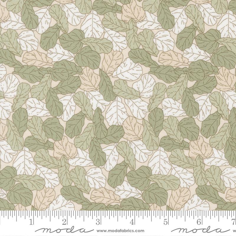 Potted Fiddle Leaf Sage - Quilt Fabric