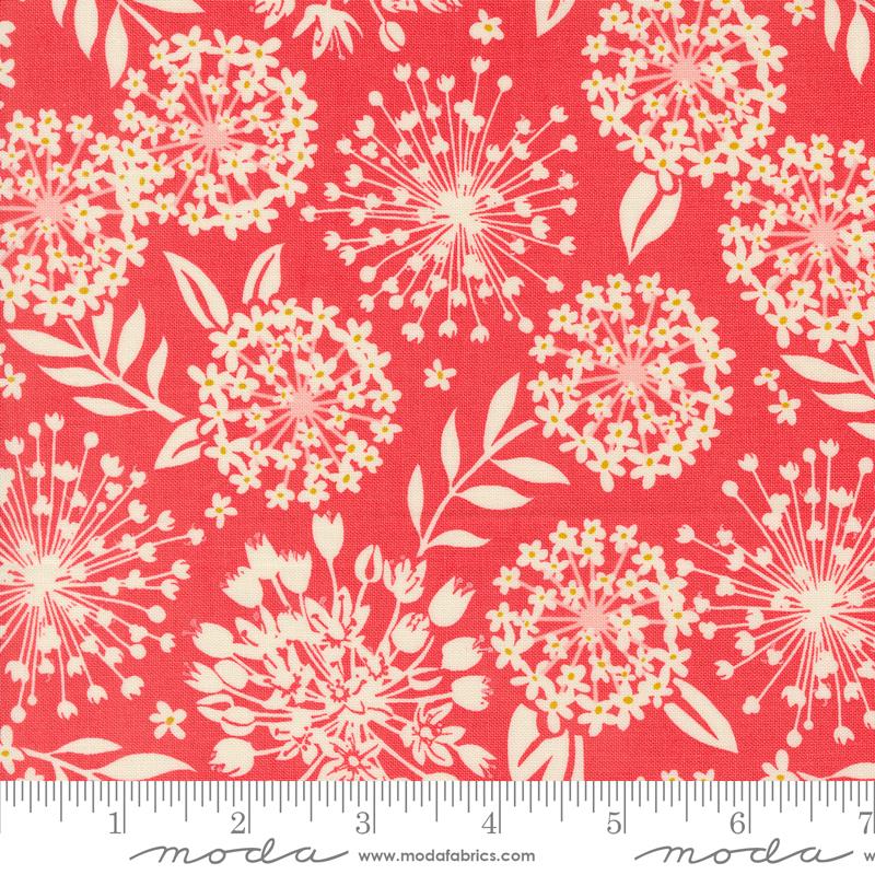 Tango Simpatico Tangerine - Quilt Fabric