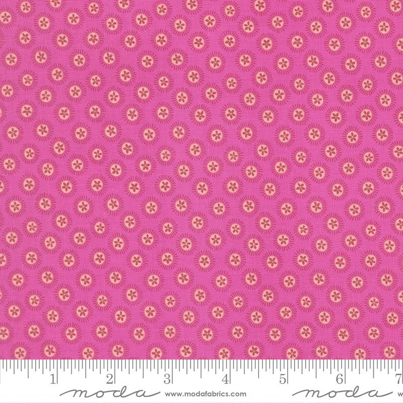 Reef Sand Dollar Seahorse - Quilt Fabric
