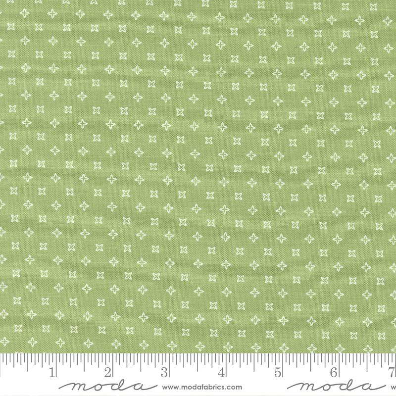 Peachy Keen Fern - Seeds Blenders - Quilt Fabric