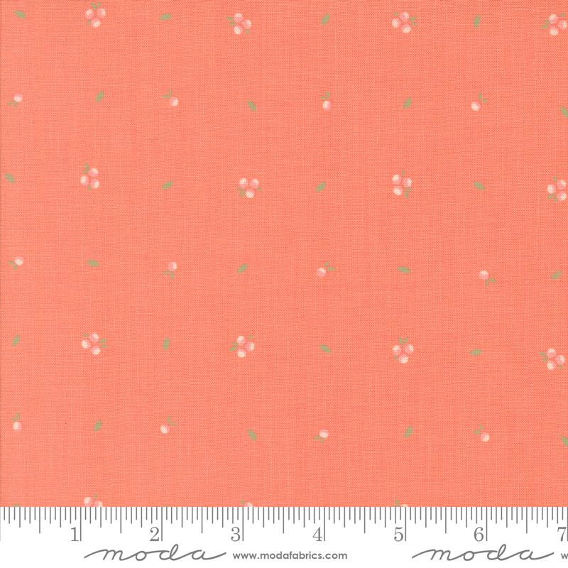Abloom Sprout - Coral - Quilt Fabric