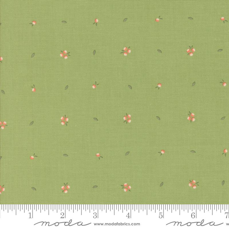 Abloom Sprout - Cucumber - Quilt Fabric
