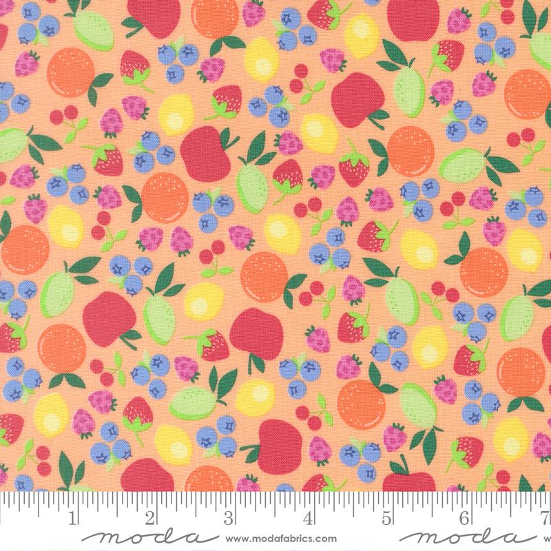 Fruit Salad Cantaloupe - Quilt Fabric