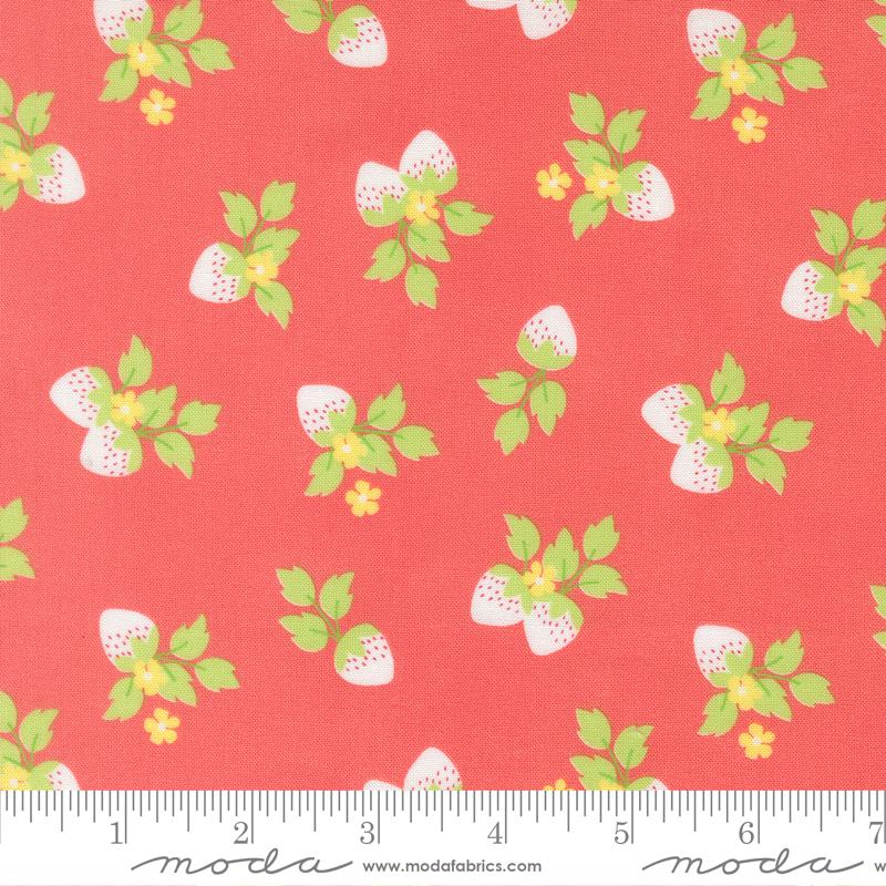 Fruit Salad Berry Flamingo - Quilt Fabric