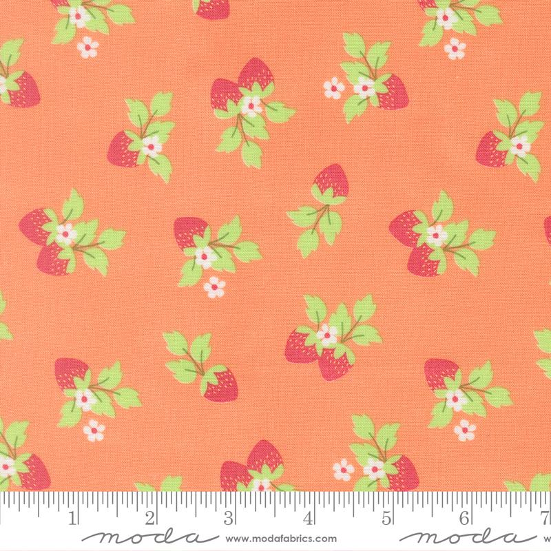 Fruit Salad Berry Coral - Quilt Fabric