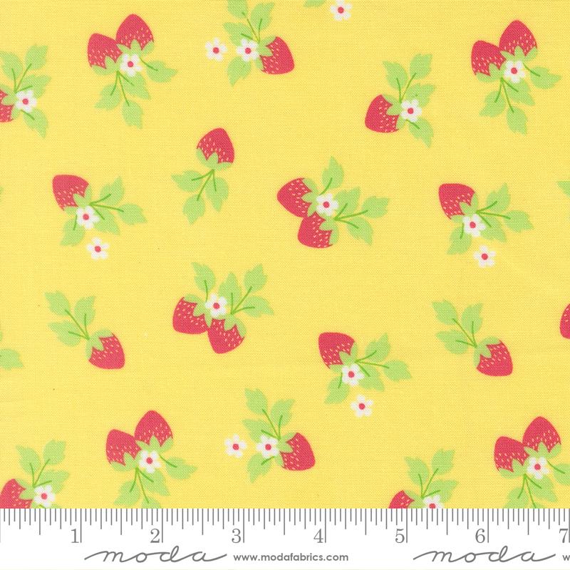 Fruit Salad Berry Sunshine - Quilt Fabric