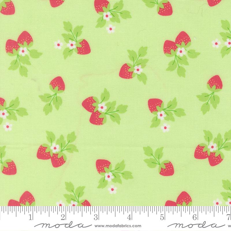Fruit Salad Berry Melon - Quilt Fabric