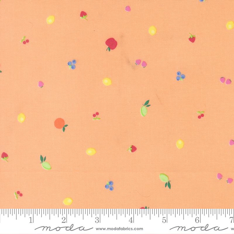 Fruit Salad Small Cantaloupe - Quilt Fabric
