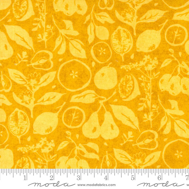 Sun Dried Novelty Fruit - Sunshine - Quilt Fabric