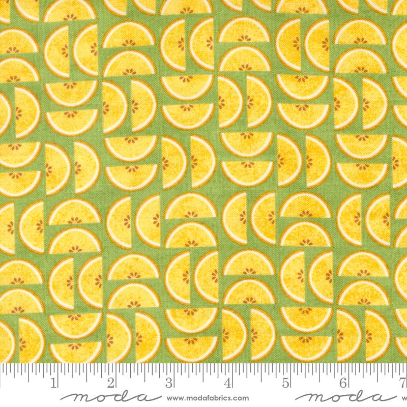 Candied Novelty Fruit - Kiwi - Quilt Fabric
