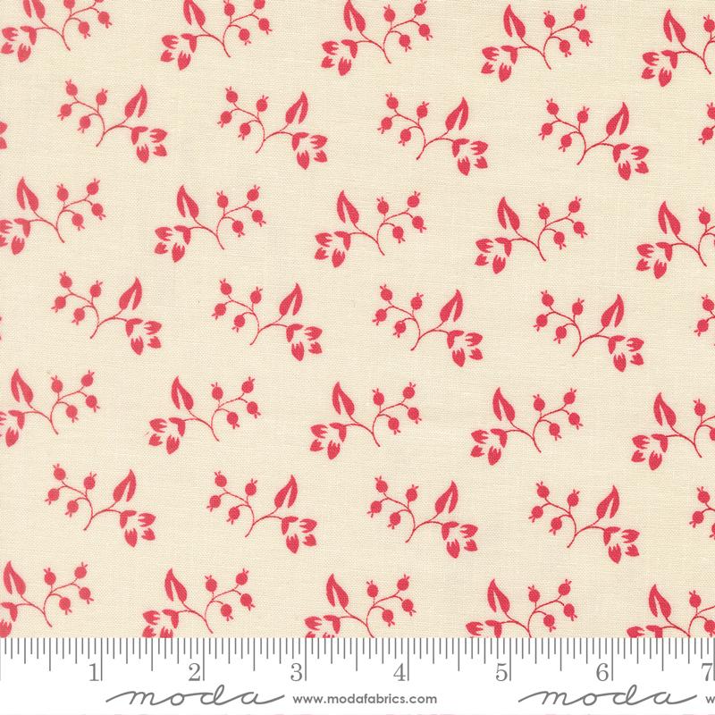 Petals And Polka Dots Vines Lace - Quilt Fabric