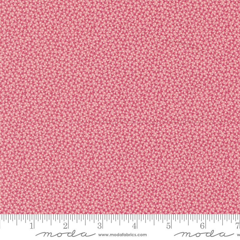 Goodnight Irene Vines - Carnation - Quilt Fabric