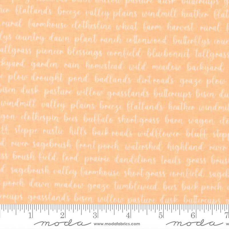 Pastel Prairie Text Apricot - Quilt Fabric