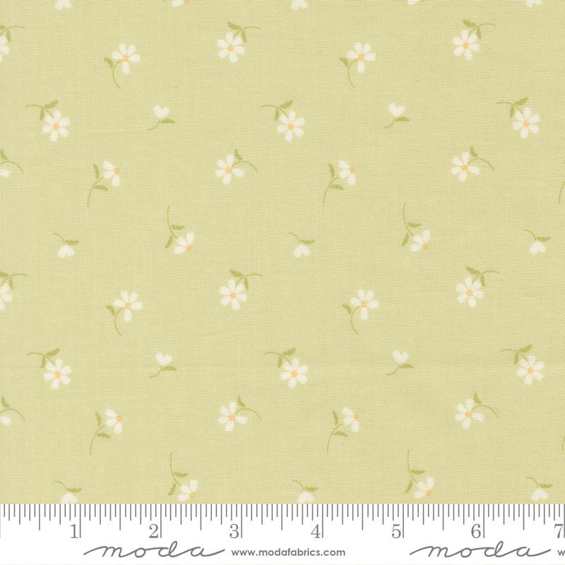 Dear Daisy Blossoms Sprout - Quilt Fabric, zoomed in. Select this picture to zoom back out.